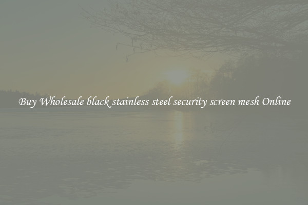 Buy Wholesale black stainless steel security screen mesh Online