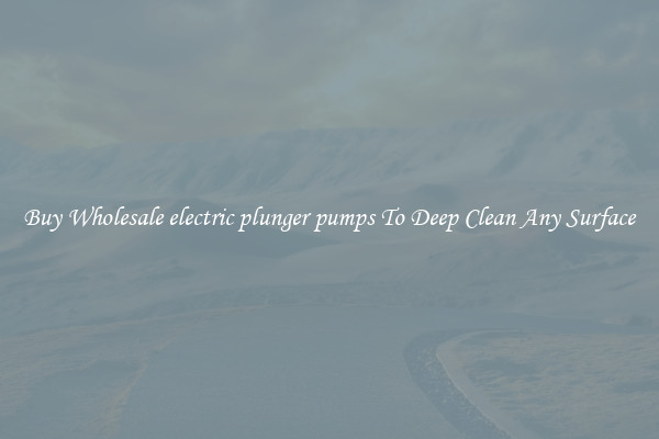 Buy Wholesale electric plunger pumps To Deep Clean Any Surface