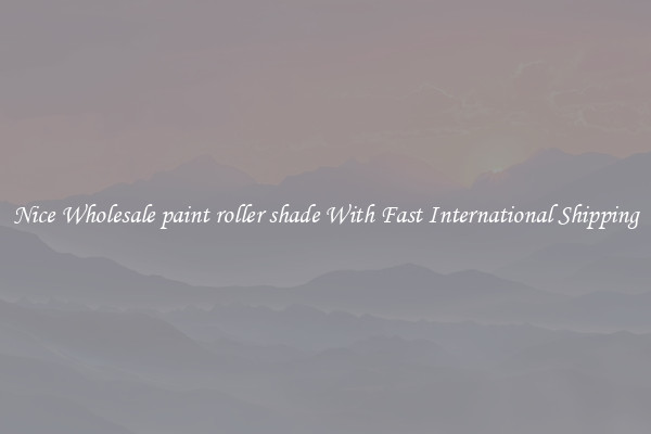 Nice Wholesale paint roller shade With Fast International Shipping