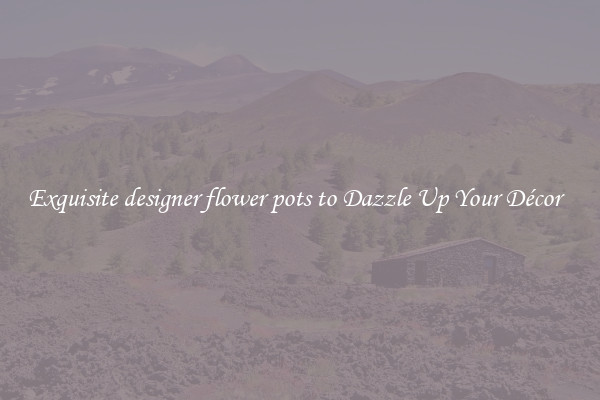 Exquisite designer flower pots to Dazzle Up Your Décor  