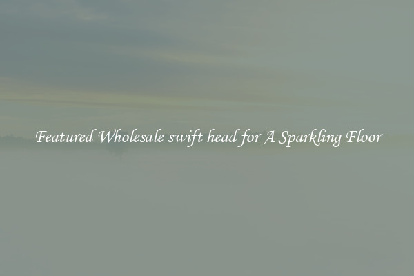 Featured Wholesale swift head for A Sparkling Floor