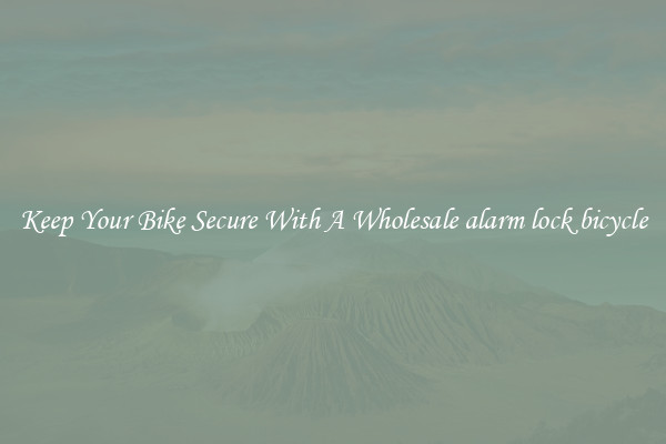 Keep Your Bike Secure With A Wholesale alarm lock bicycle