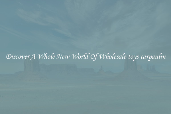 Discover A Whole New World Of Wholesale toys tarpaulin