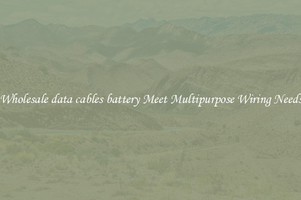 Wholesale data cables battery Meet Multipurpose Wiring Needs