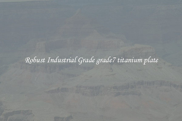 Robust Industrial Grade grade7 titanium plate