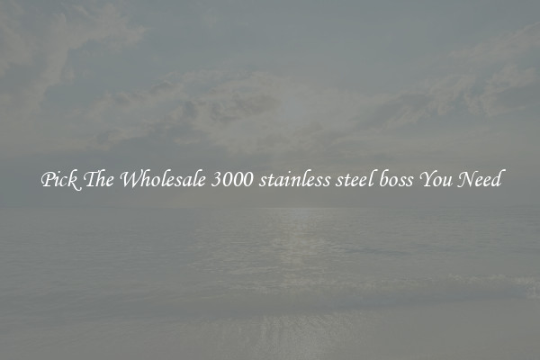 Pick The Wholesale 3000 stainless steel boss You Need