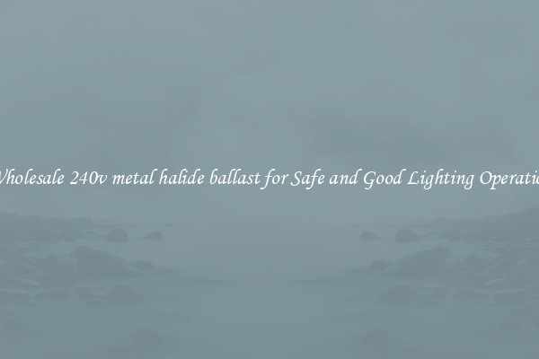 Wholesale 240v metal halide ballast for Safe and Good Lighting Operation