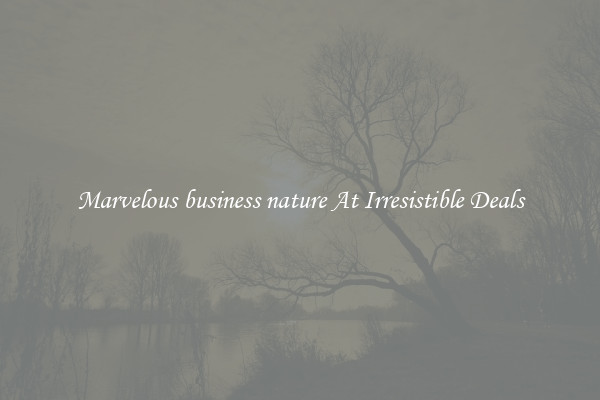 Marvelous business nature At Irresistible Deals