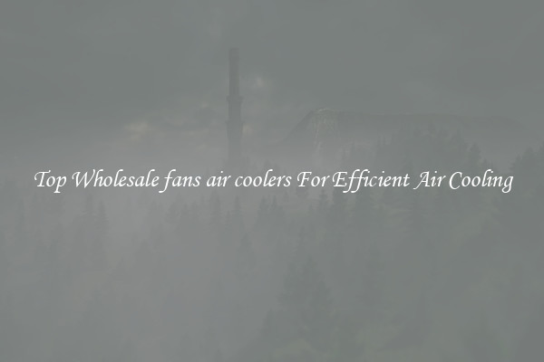 Top Wholesale fans air coolers For Efficient Air Cooling