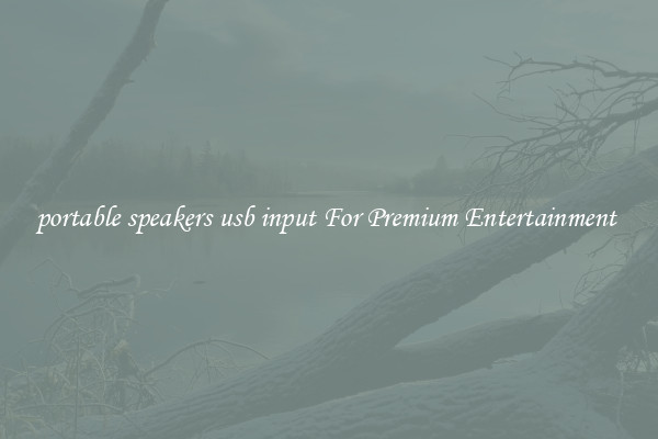 portable speakers usb input For Premium Entertainment 