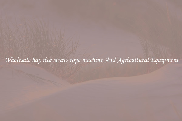 Wholesale hay rice straw rope machine And Agricultural Equipment