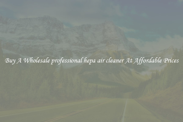 Buy A Wholesale professional hepa air cleaner At Affordable Prices